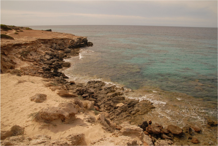 Formentera, Open Caza FotoSub Apnea, foto submarina, apena, playa formentera